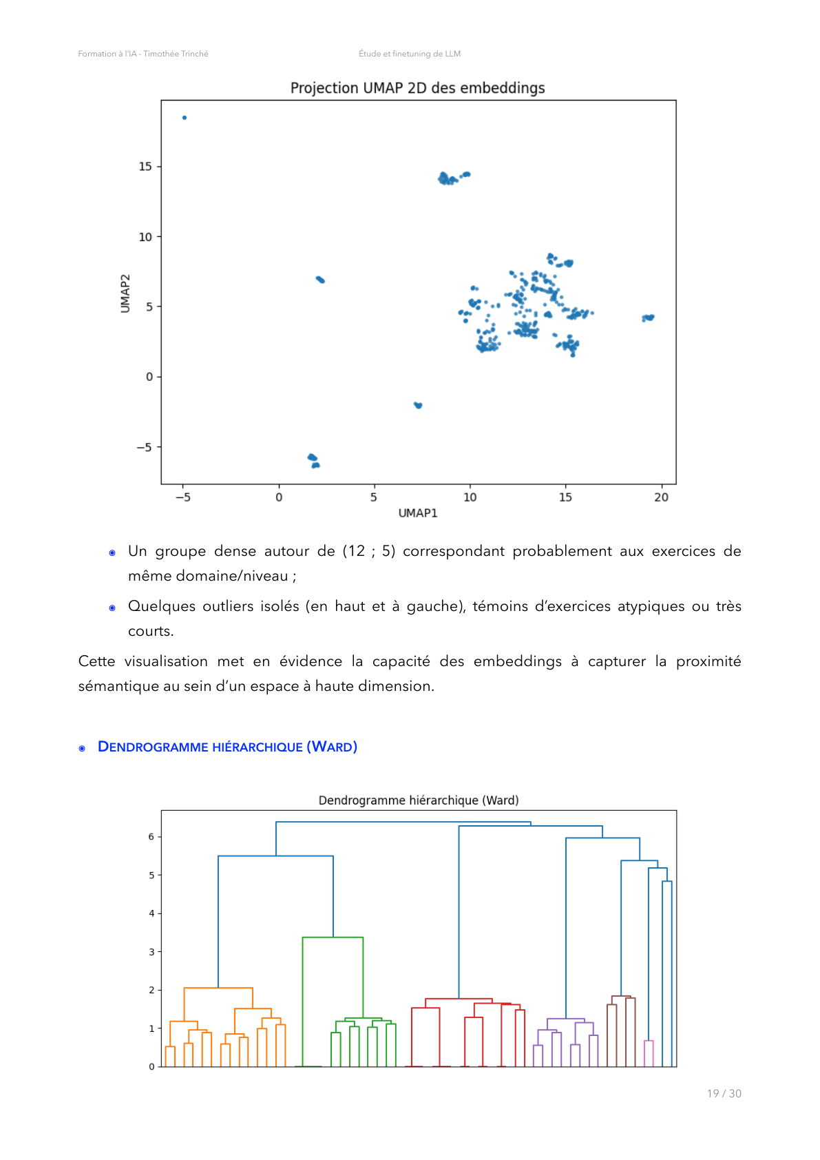 Projection UMAP et dendrogramme